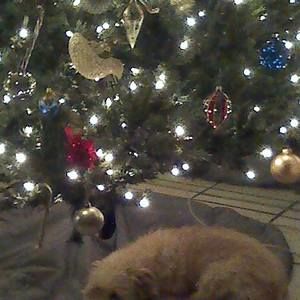 Meet your Posher, Maria rosaria